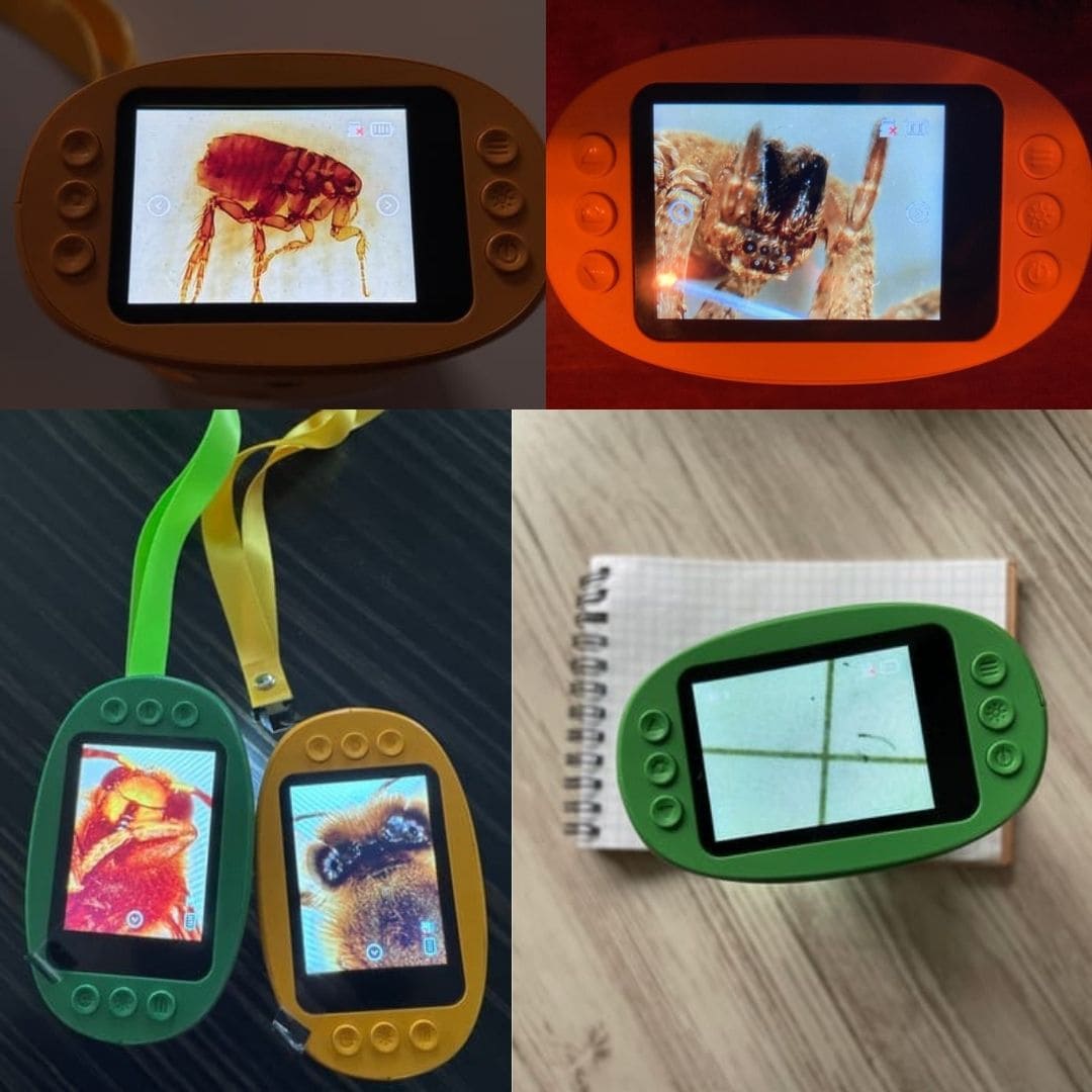 Microscope numérique portable grossissement x1000 pour enfants