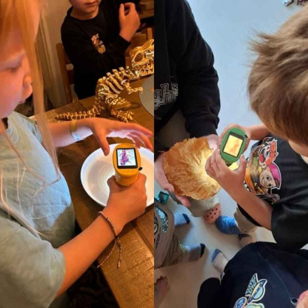 Microscope numérique portable grossissement x1000 pour enfants
