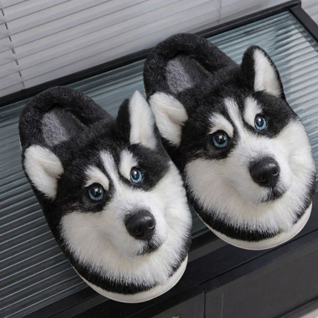 Chaussons Chien Ultra Doux – Confort & Chaleur à la Maison