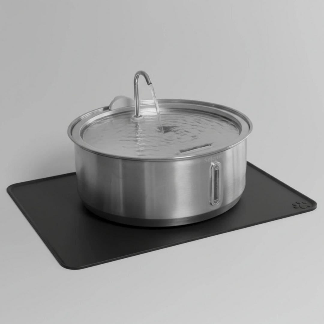 Fontaine à eau ludique anti-débordement pour chien en acier inoxydable