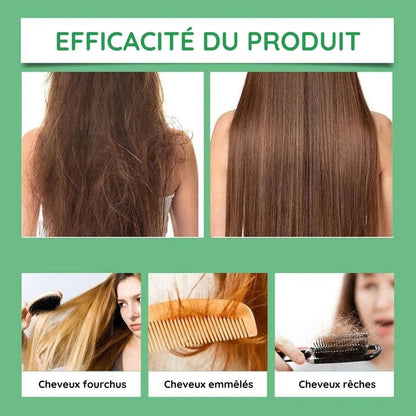 Shampooing au romarin et à la kératine hydrolysée