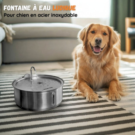 Fontaine à eau ludique anti-débordement pour chien en acier inoxydable