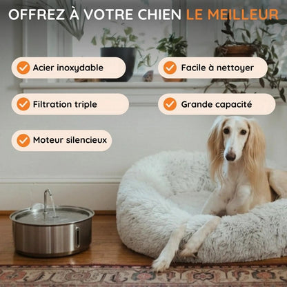 Fontaine à eau ludique anti-débordement pour chien en acier inoxydable