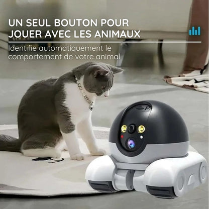 BotSurvey™ le robot caméra de surveillance mobile pour la maison