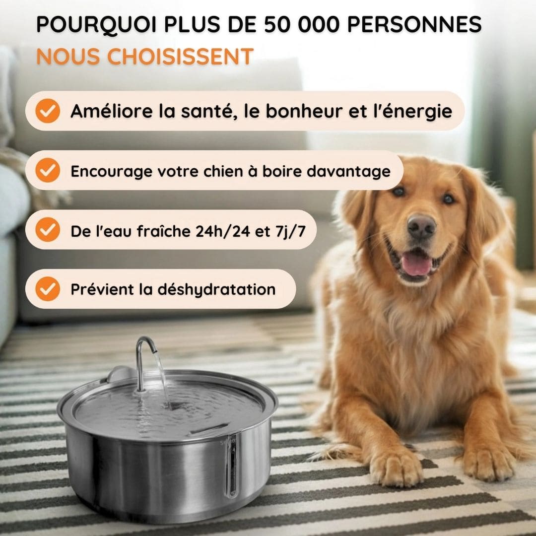 Fontaine à eau ludique anti-débordement pour chien en acier inoxydable