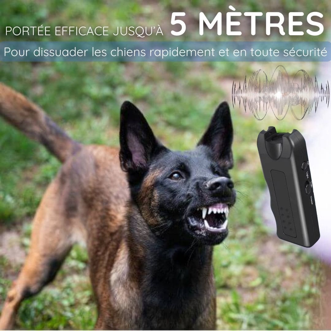 Dispositif ultrasonique de correction comportementale pour chien