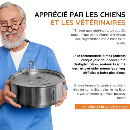 Fontaine à eau ludique anti-débordement pour chien en acier inoxydable