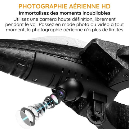 Avion de chasse télécommandé avec lumière LED