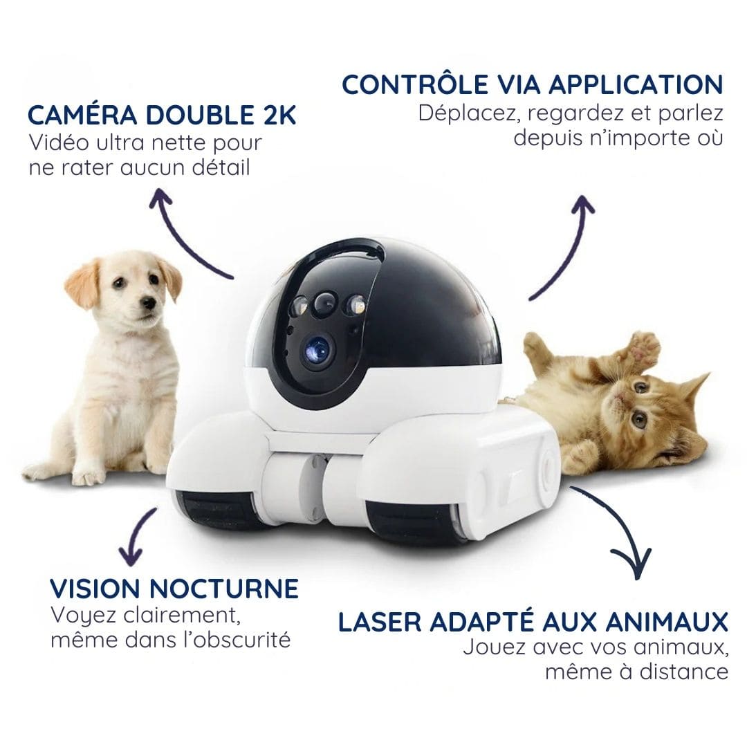 BotSurvey™ le robot caméra de surveillance mobile pour la maison