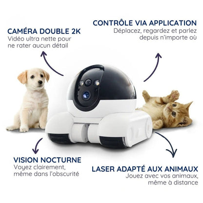 BotSurvey™ le robot caméra de surveillance mobile pour la maison